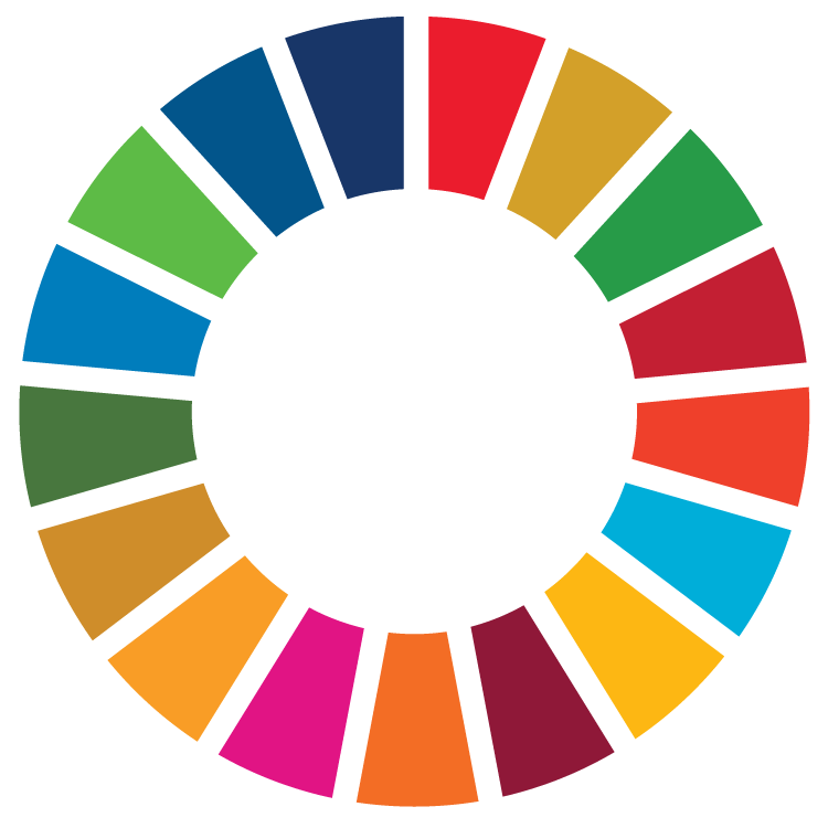 About the SDGs