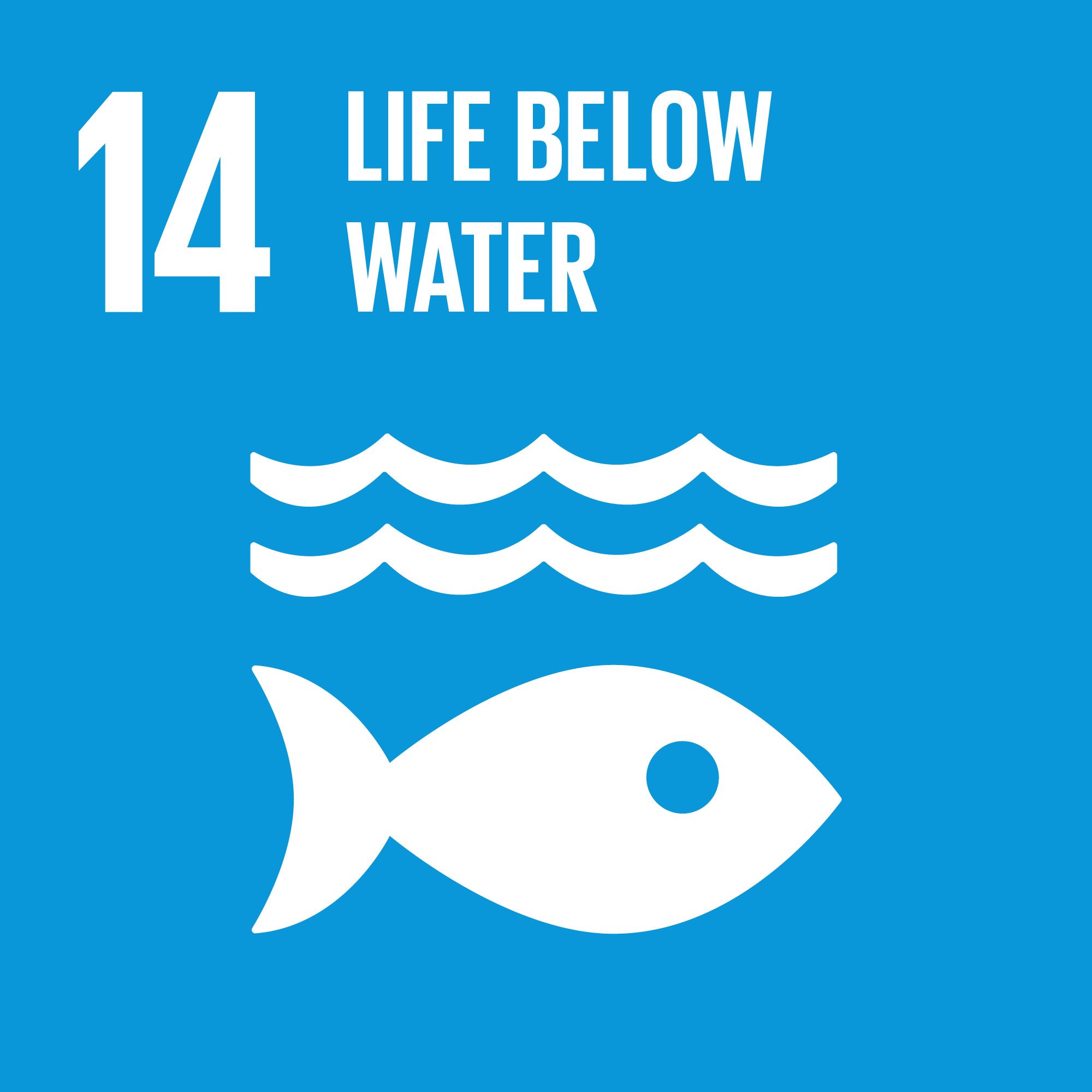 Icon for SDG Goal 14: Life Below Water