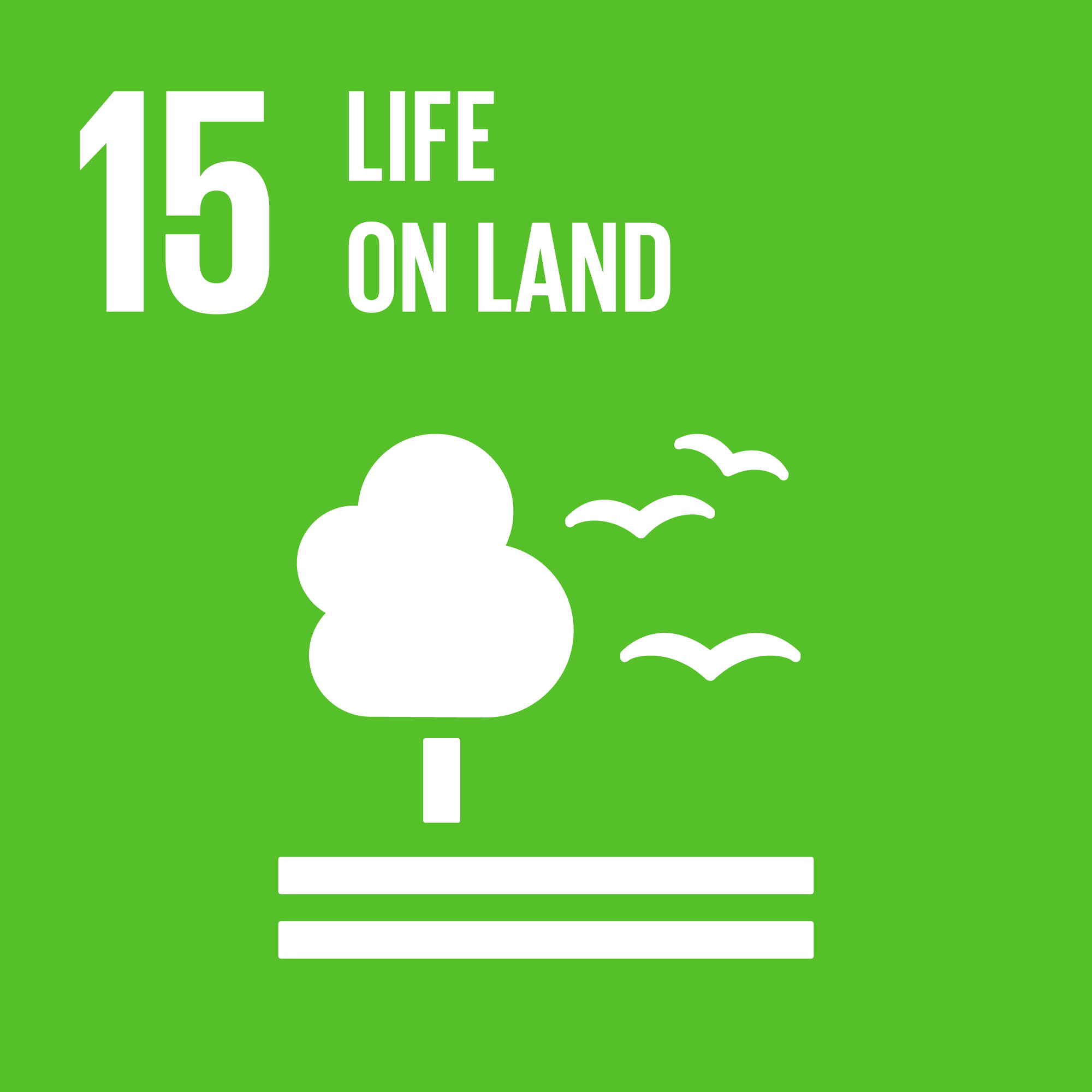 Icon for SDG Goal 15: Life on Land