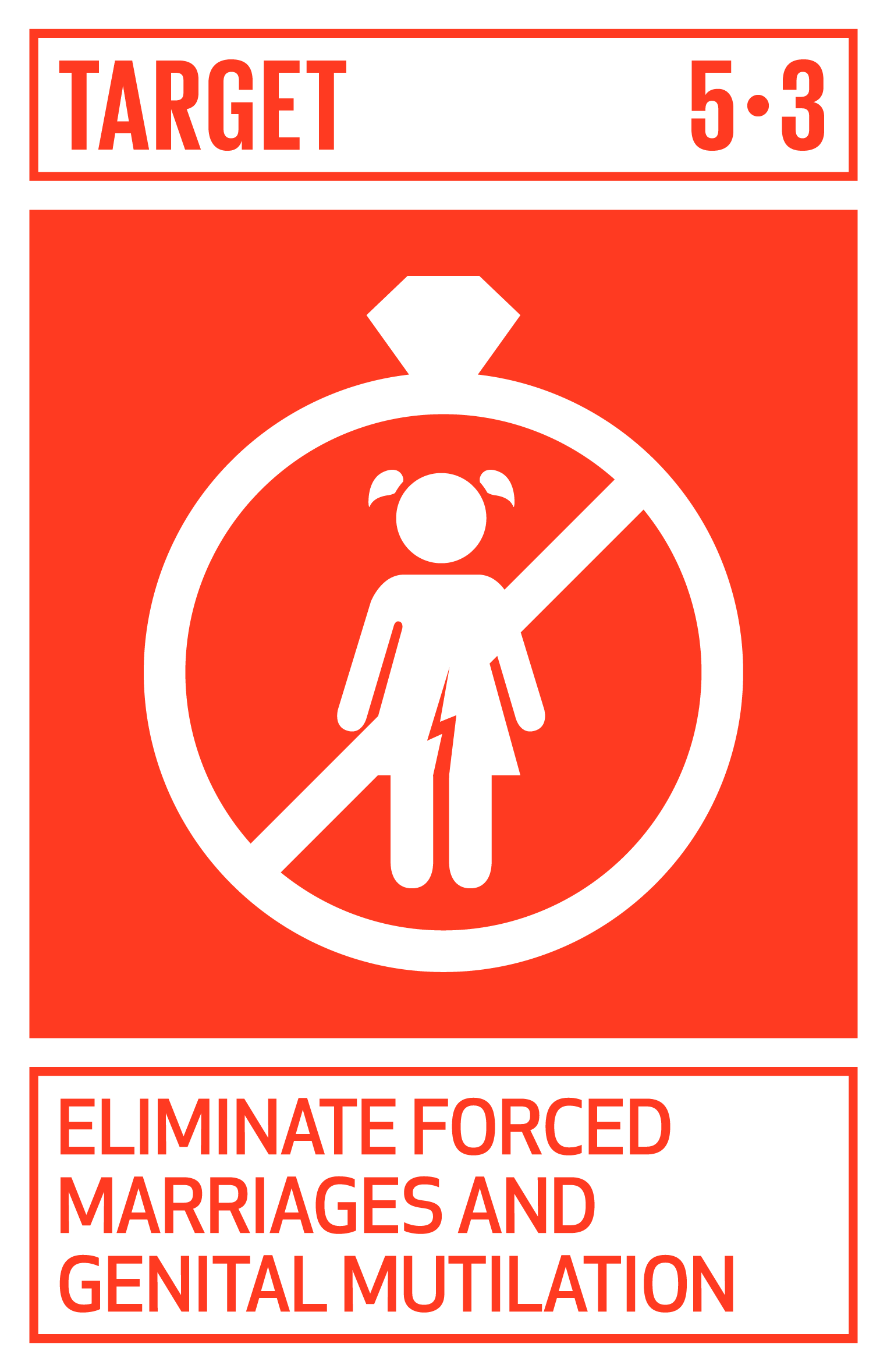 Icon for SDG Target 5.3