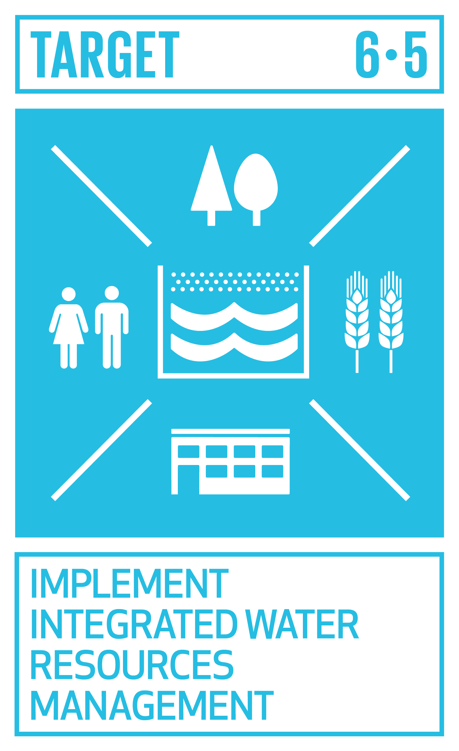 Icon for SDG Target 6.5