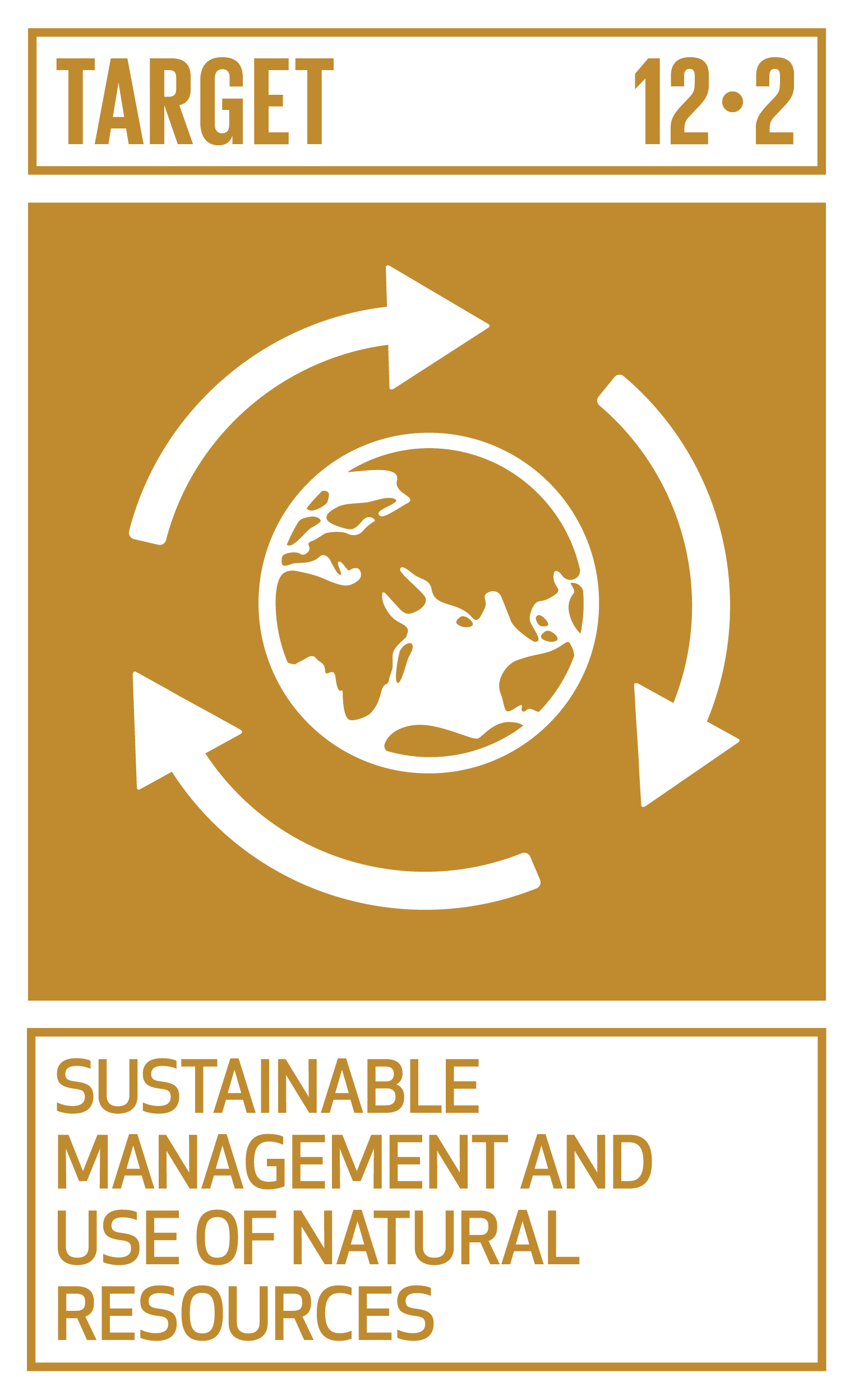Icon for SDG Target 12.2