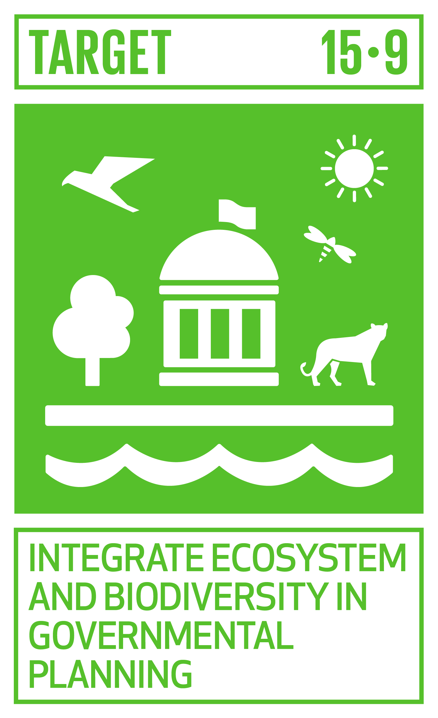 Icon for SDG Target 15.9