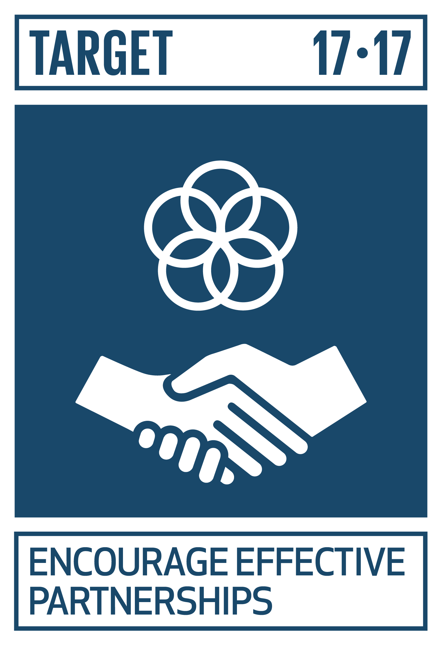 Icon for SDG Target 17.17