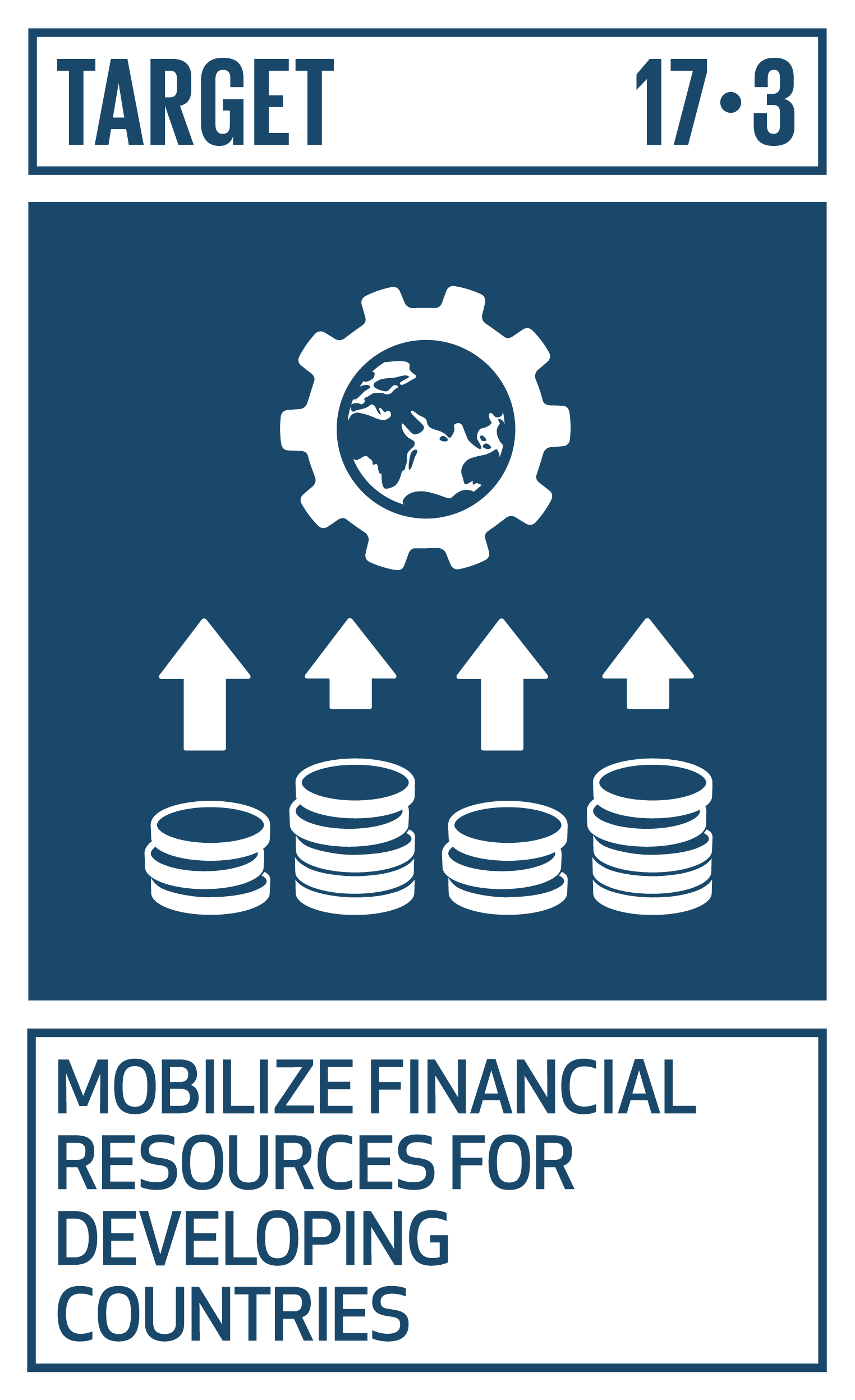 Icon for SDG Target 17.3